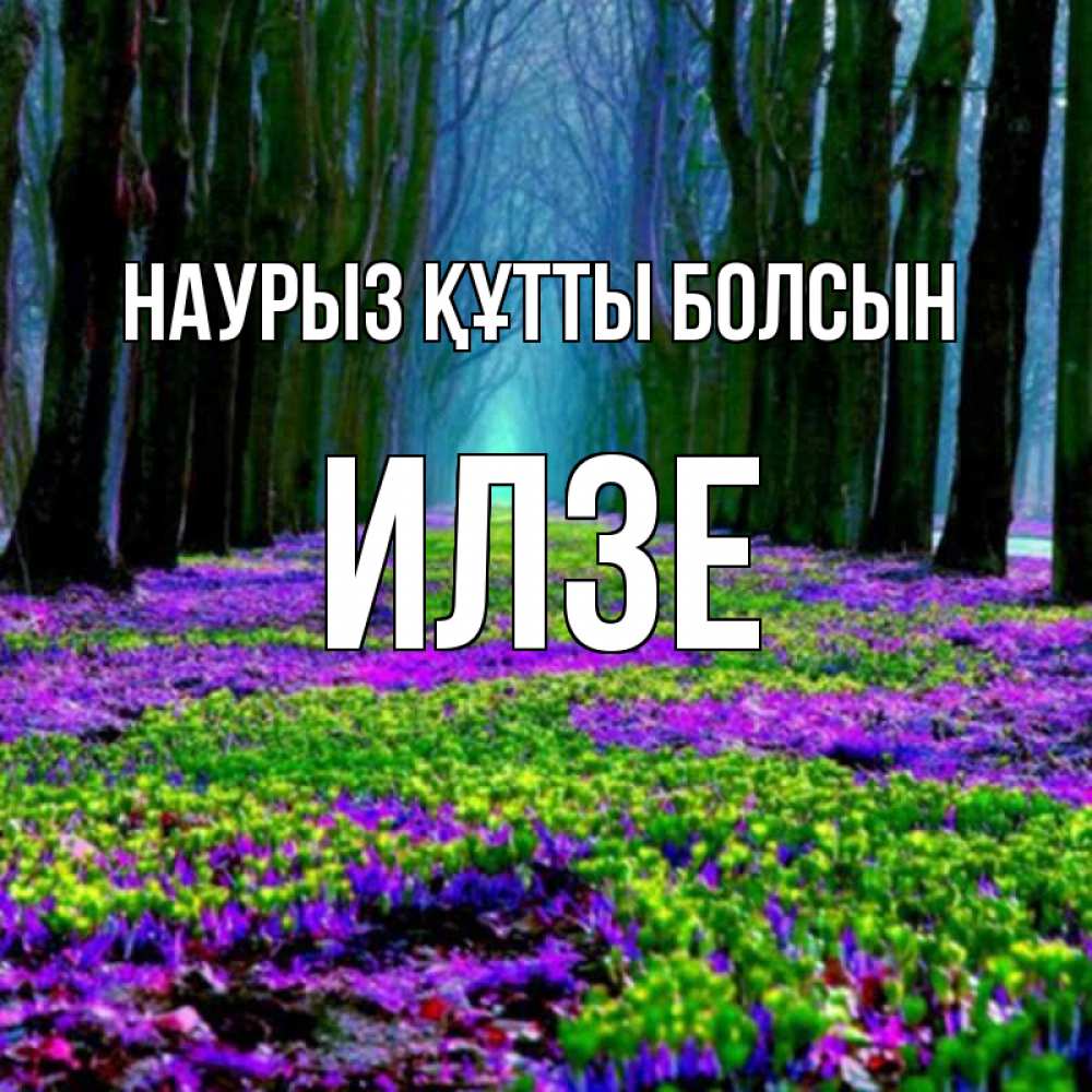 Открытка на каждый день с именем, Илзе Наурыз құтты болсын фиолетовые цветы в лесу 1 Прикольная открытка с пожеланием онлайн скачать бесплатно 