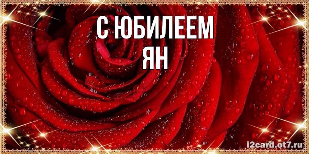 Открытка на каждый день с именем, Ян С юбилеем роса на розе блестящая в лучах солнца Прикольная открытка с пожеланием онлайн скачать бесплатно 