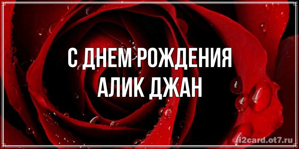 Открытка на каждый день с именем, Алик-джан С днем рождения крупная бордовая роза Прикольная открытка с пожеланием онлайн скачать бесплатно 