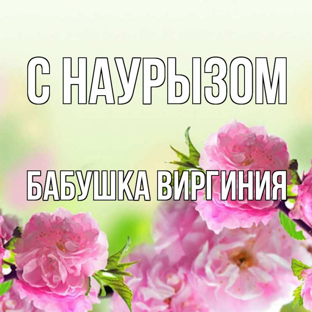 Открытка на каждый день с именем, Бабушка-Виргиния С наурызом цветы Прикольная открытка с пожеланием онлайн скачать бесплатно 