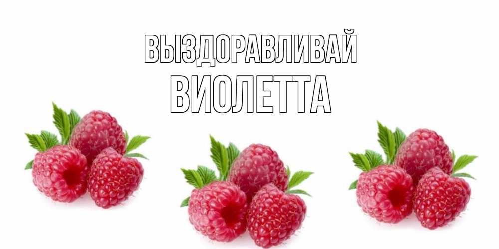 Открытка на каждый день с именем, Виолетта Выздоравливай малиновая открыта с пожеланием о выздоровлении Прикольная открытка с пожеланием онлайн скачать бесплатно 