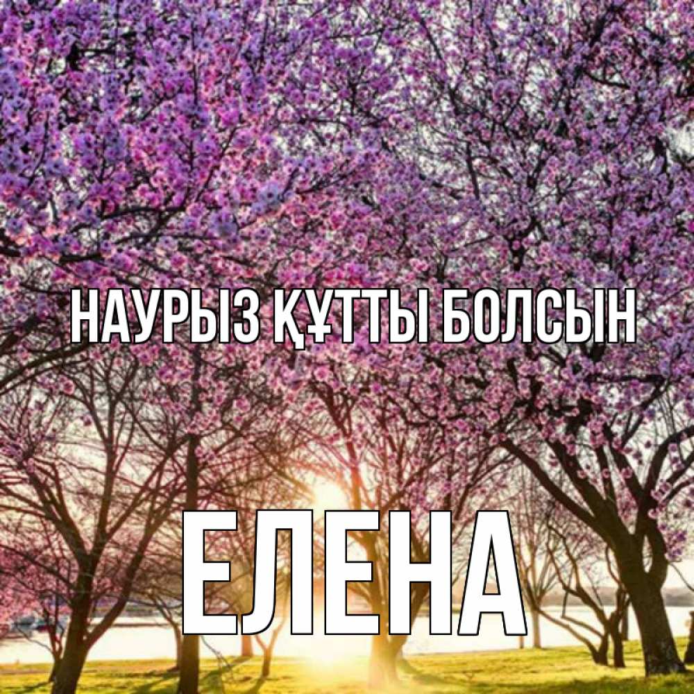 Открытка на каждый день с именем, Елена Наурыз құтты болсын наурыз Прикольная открытка с пожеланием онлайн скачать бесплатно 