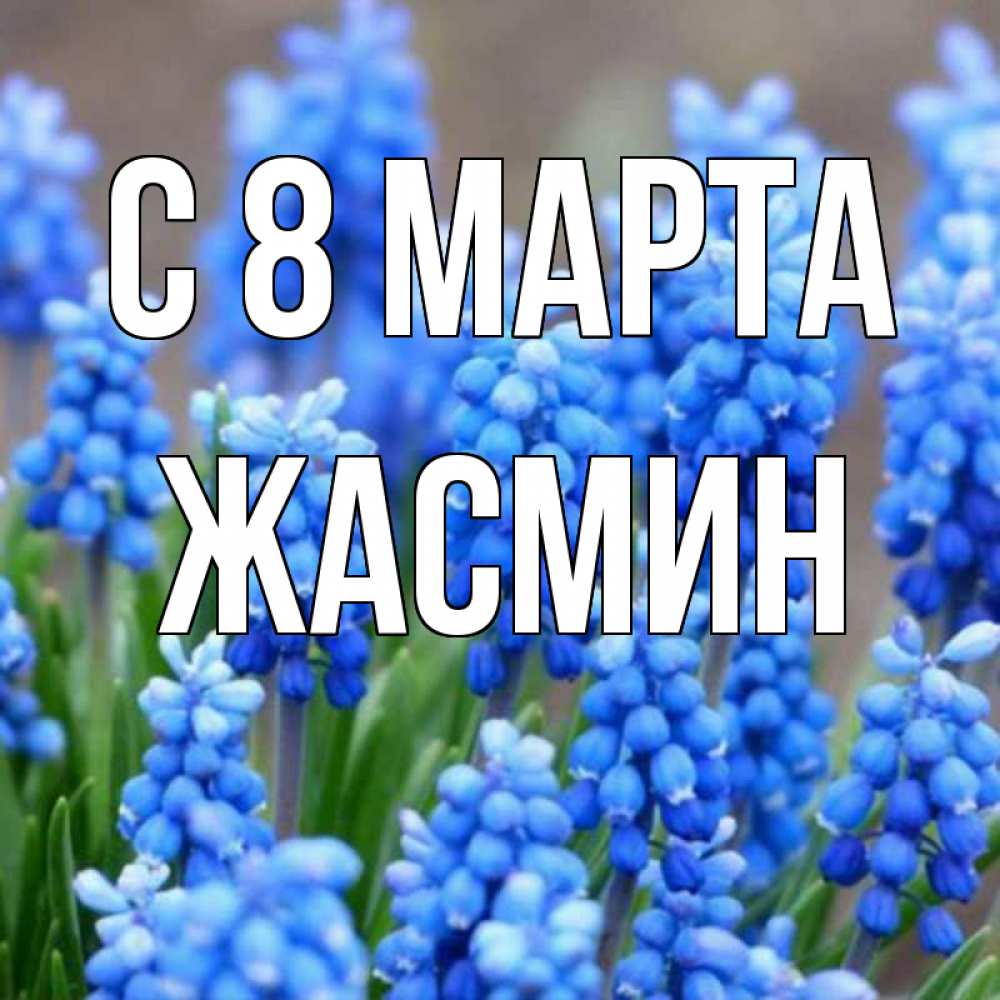 Открытка на каждый день с именем, Жасмин С 8 МАРТА Поздравительная открытка для женщин с цветами на праздничную дату Прикольная открытка с пожеланием онлайн скачать бесплатно 