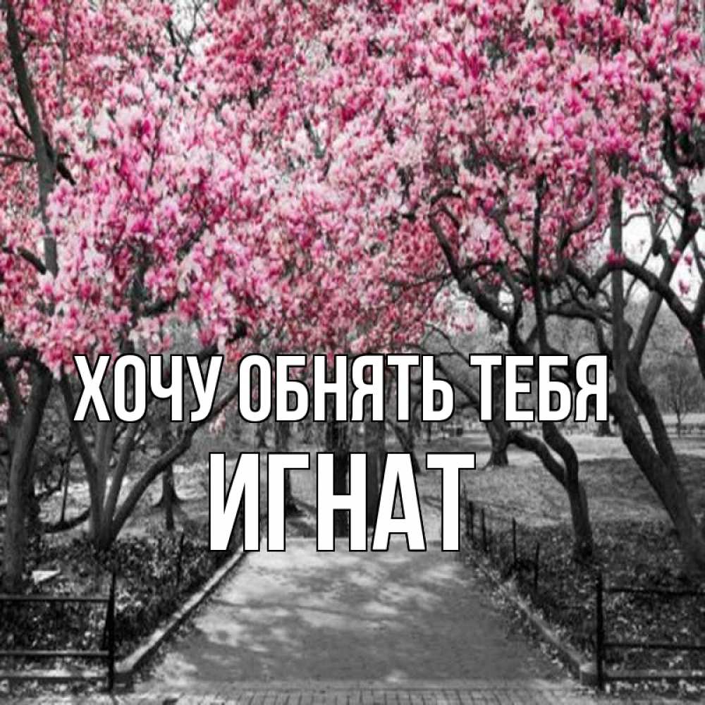 Открытка на каждый день с именем, Игнат Хочу обнять тебя обработанное фото Прикольная открытка с пожеланием онлайн скачать бесплатно 