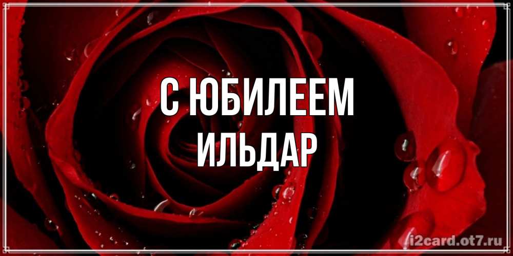 Открытка на каждый день с именем, Ильдар С юбилеем крупная бордовая роза Прикольная открытка с пожеланием онлайн скачать бесплатно 