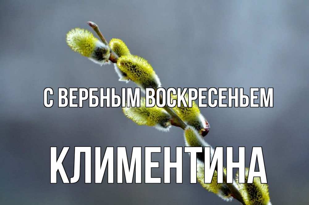 Открытка на каждый день с именем, Климентина С вербным воскресеньем верба Прикольная открытка с пожеланием онлайн скачать бесплатно 