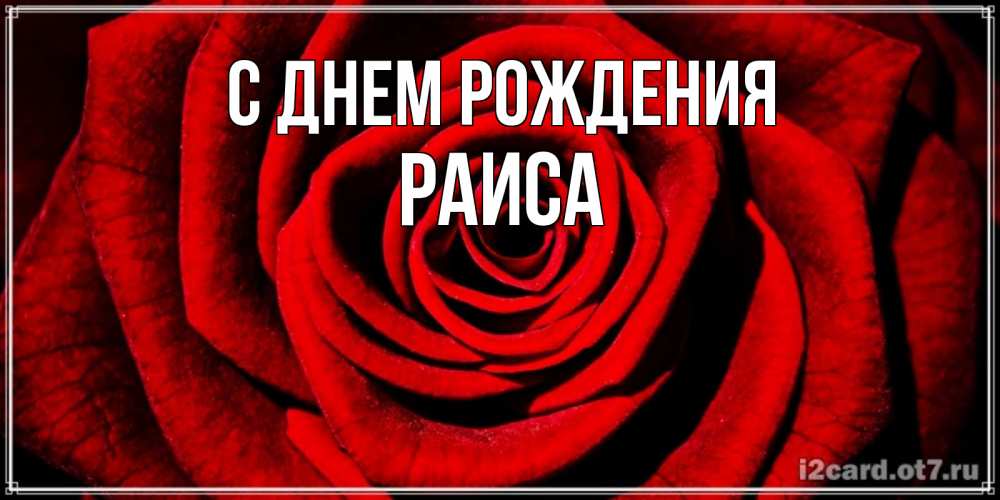 Открытка на каждый день с именем, Раиса С днем рождения алая роза Прикольная открытка с пожеланием онлайн скачать бесплатно 