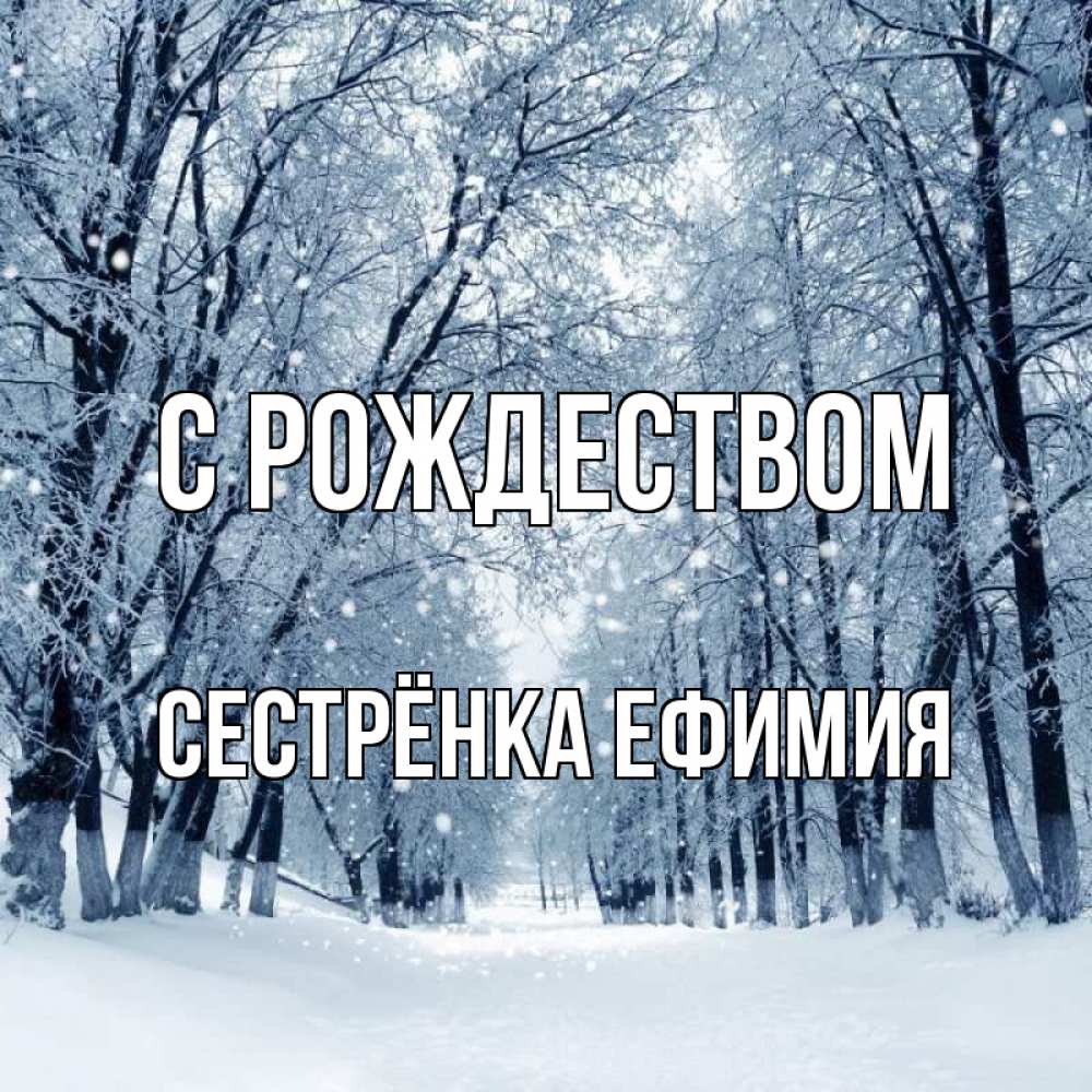 Открытка на каждый день с именем, Сестрёнка-Ефимия С рождеством снег, лес, парк Прикольная открытка с пожеланием онлайн скачать бесплатно 