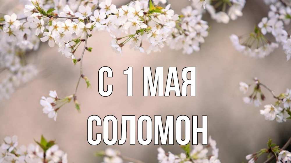 Открытка на каждый день с именем, Соломон С 1 мая С 1 мая Прикольная открытка с пожеланием онлайн скачать бесплатно 