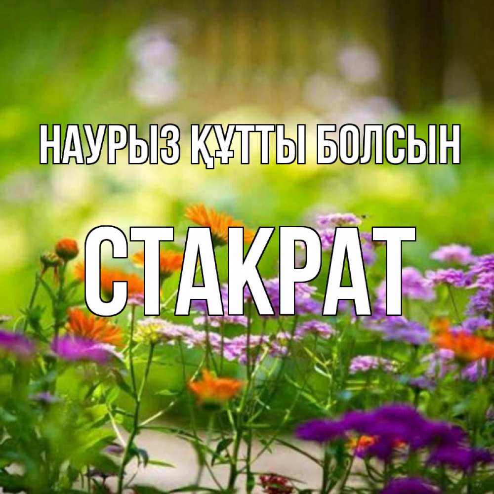 Открытка на каждый день с именем, Стакрат Наурыз құтты болсын цветы Прикольная открытка с пожеланием онлайн скачать бесплатно 