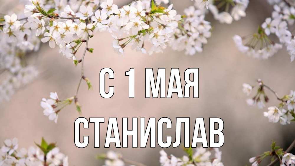 Открытка на каждый день с именем, Станислав С 1 мая С 1 мая Прикольная открытка с пожеланием онлайн скачать бесплатно 
