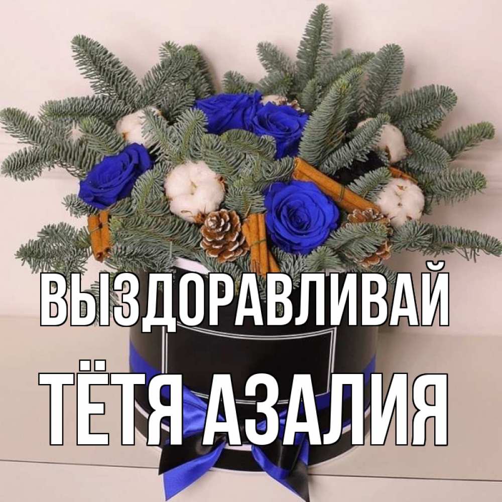 Открытка на каждый день с именем, Тётя-Азалия Выздоравливай короче кто то загрузил эти шишки Прикольная открытка с пожеланием онлайн скачать бесплатно 