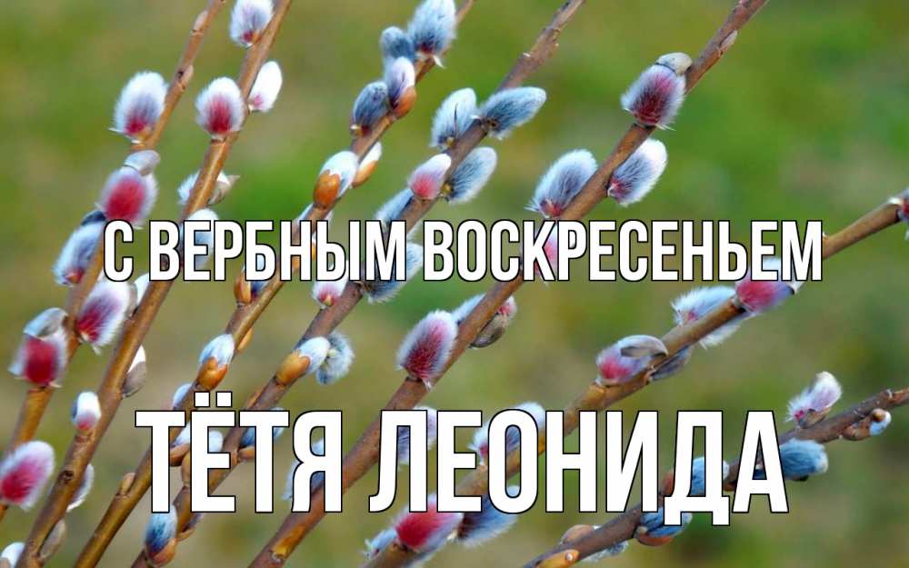 Открытка на каждый день с именем, Тётя-Леонида С вербным воскресеньем верба Прикольная открытка с пожеланием онлайн скачать бесплатно 