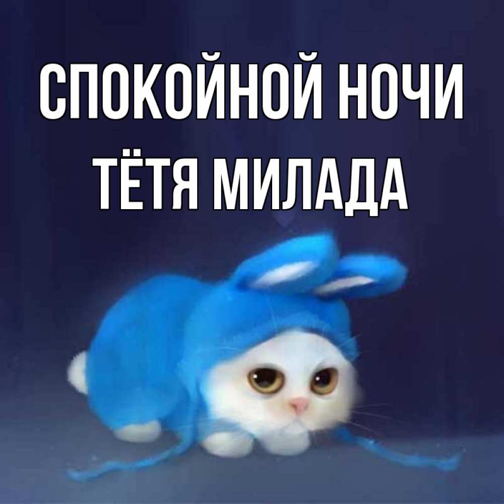 Открытка на каждый день с именем, Тётя-Милада Спокойной ночи кот в голубом костюме кролика с ушками Прикольная открытка с пожеланием онлайн скачать бесплатно 