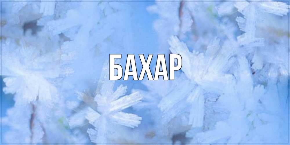 Открытка на каждый день с именем, Бахар Главная открытка на зимний день Прикольная открытка с пожеланием онлайн скачать бесплатно 