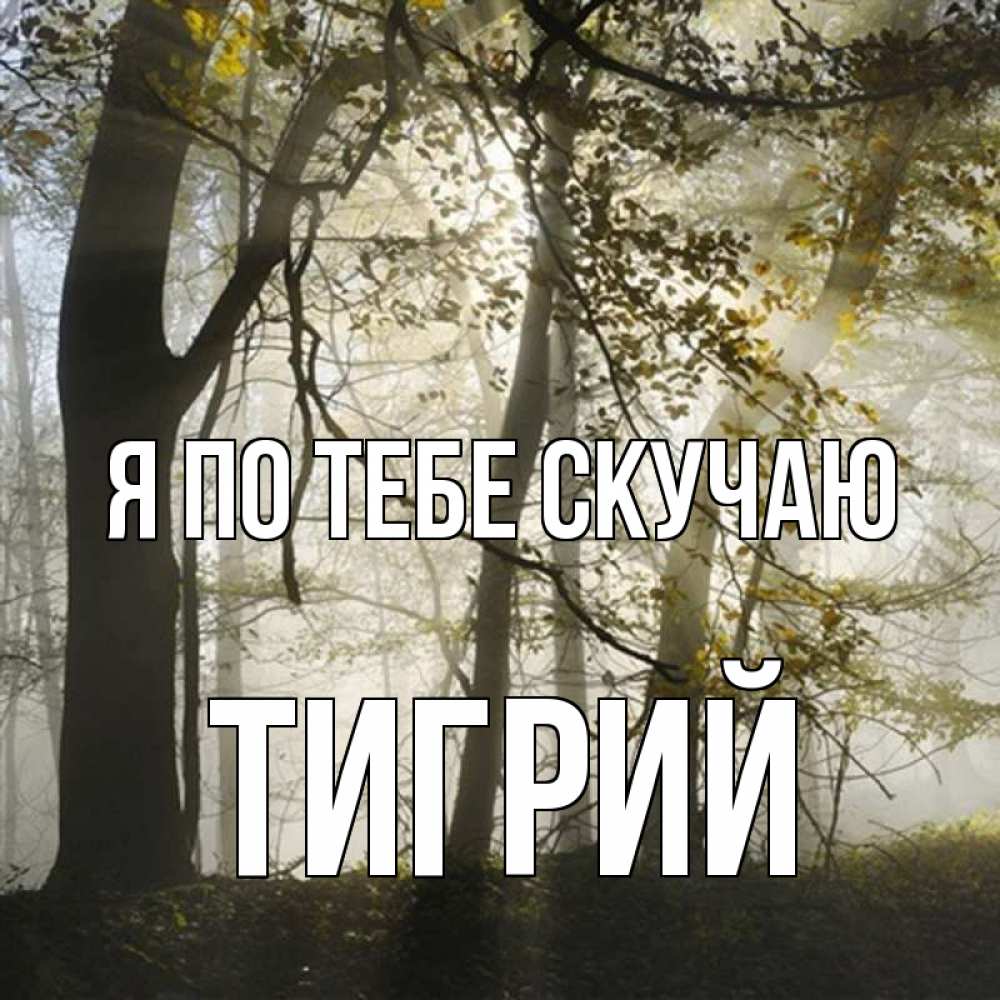 Открытка на каждый день с именем, Тигрий Я по тебе скучаю грустно Прикольная открытка с пожеланием онлайн скачать бесплатно 