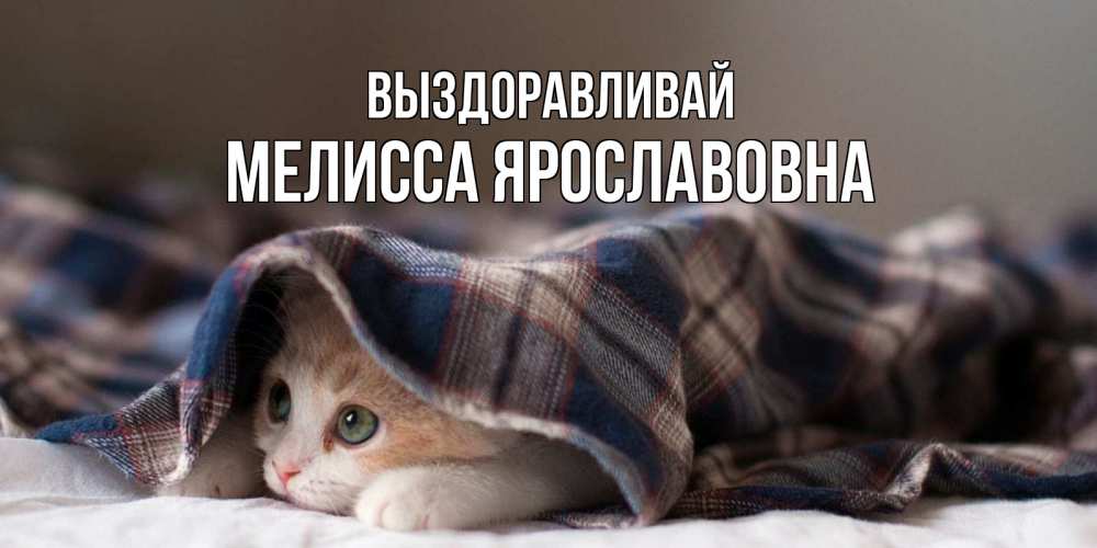 Картинка Выздоравливай, Мелисса Ярославовна