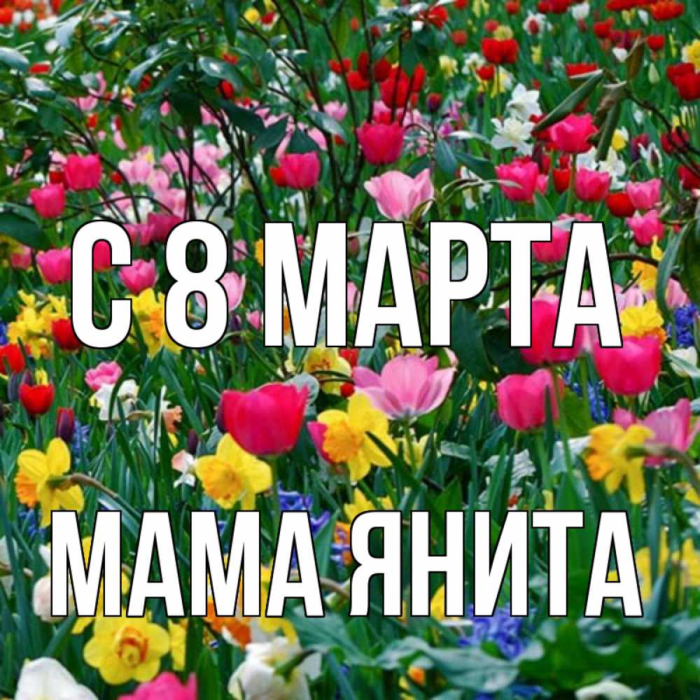 Открытка на каждый день с именем, Мама-Янита С 8 марта с международным женским днем поздравления для женщины Прикольная открытка с пожеланием онлайн скачать бесплатно 