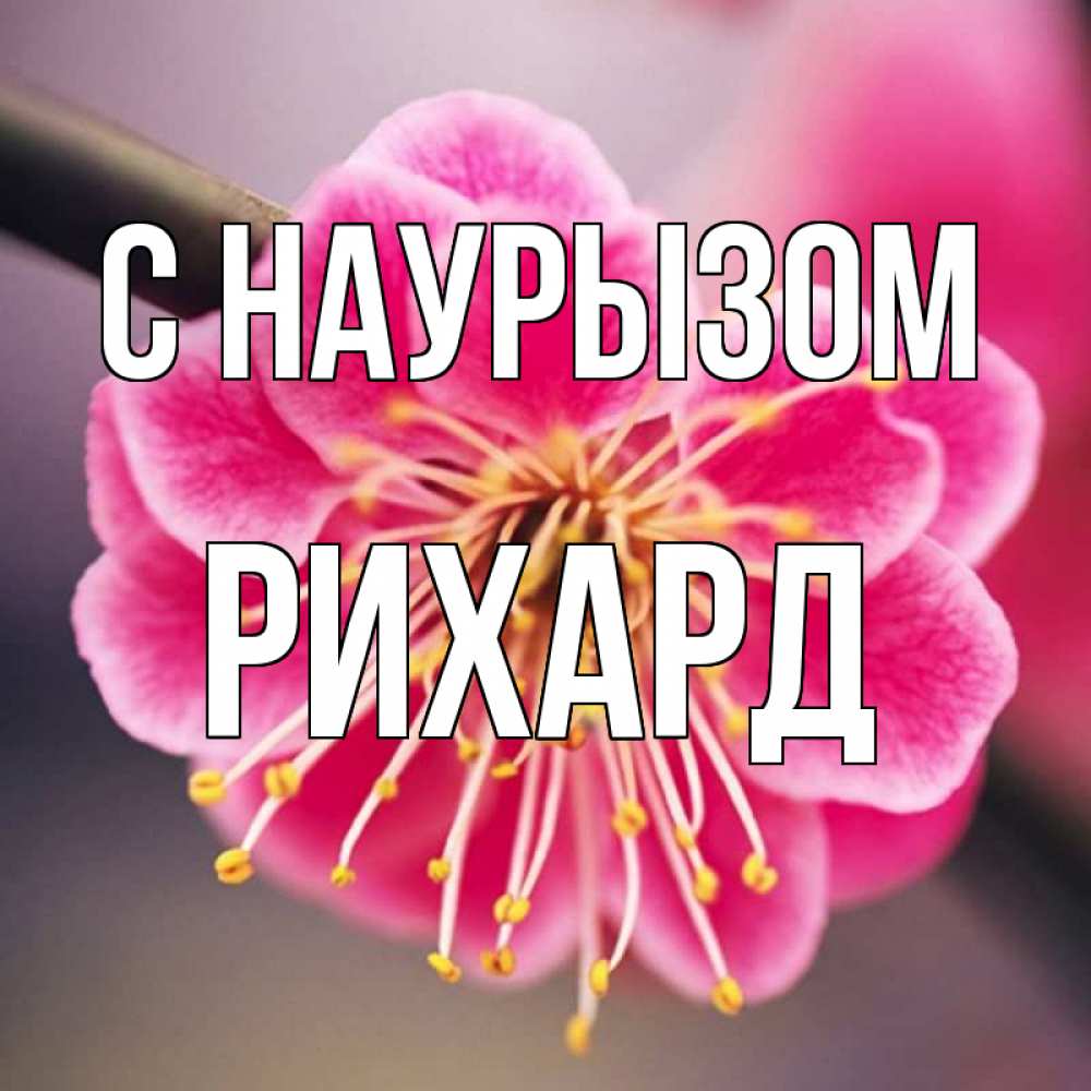 Открытка на каждый день с именем, Рихард С наурызом цветы Прикольная открытка с пожеланием онлайн скачать бесплатно 
