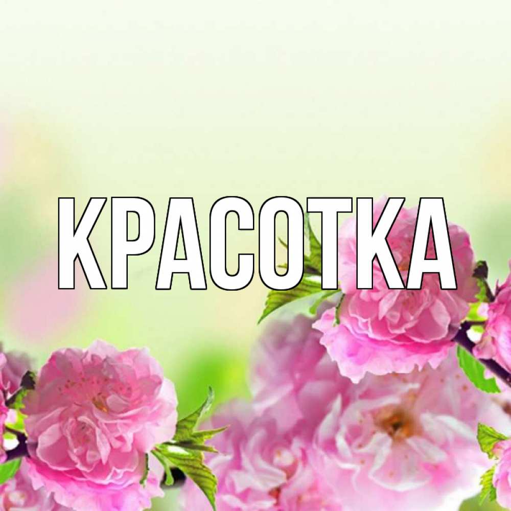 Открытка на каждый день с именем, красотка Главная цветы Прикольная открытка с пожеланием онлайн скачать бесплатно 