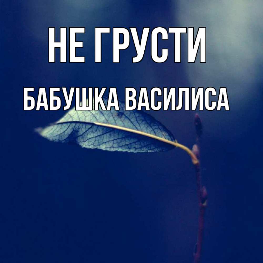 Открытка на каждый день с именем, Бабушка-Василиса Не грусти растение Прикольная открытка с пожеланием онлайн скачать бесплатно 
