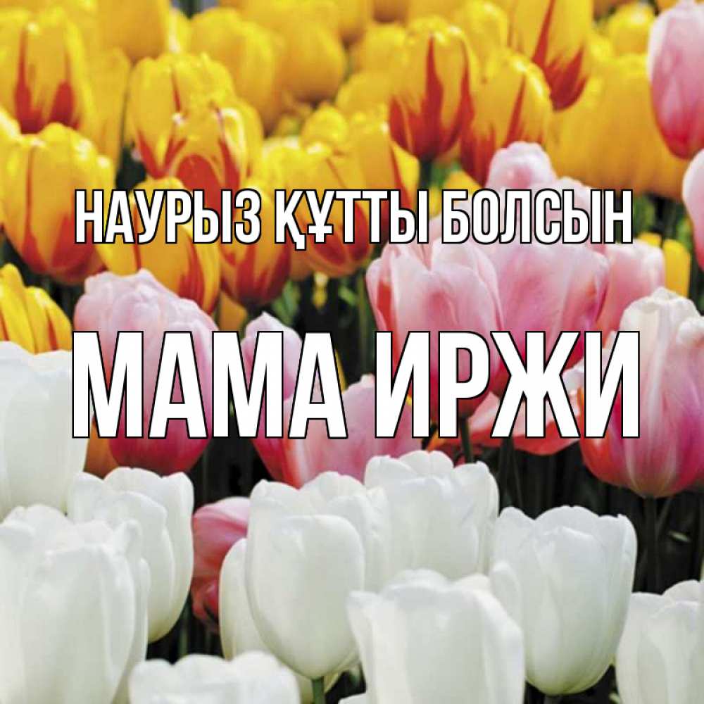 Открытка на каждый день с именем, Мама-Иржи Наурыз құтты болсын разноцветные цветы Прикольная открытка с пожеланием онлайн скачать бесплатно 