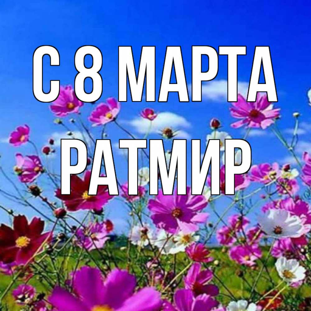 Открытка на каждый день с именем, Ратмир С 8 марта цветы Прикольная открытка с пожеланием онлайн скачать бесплатно 
