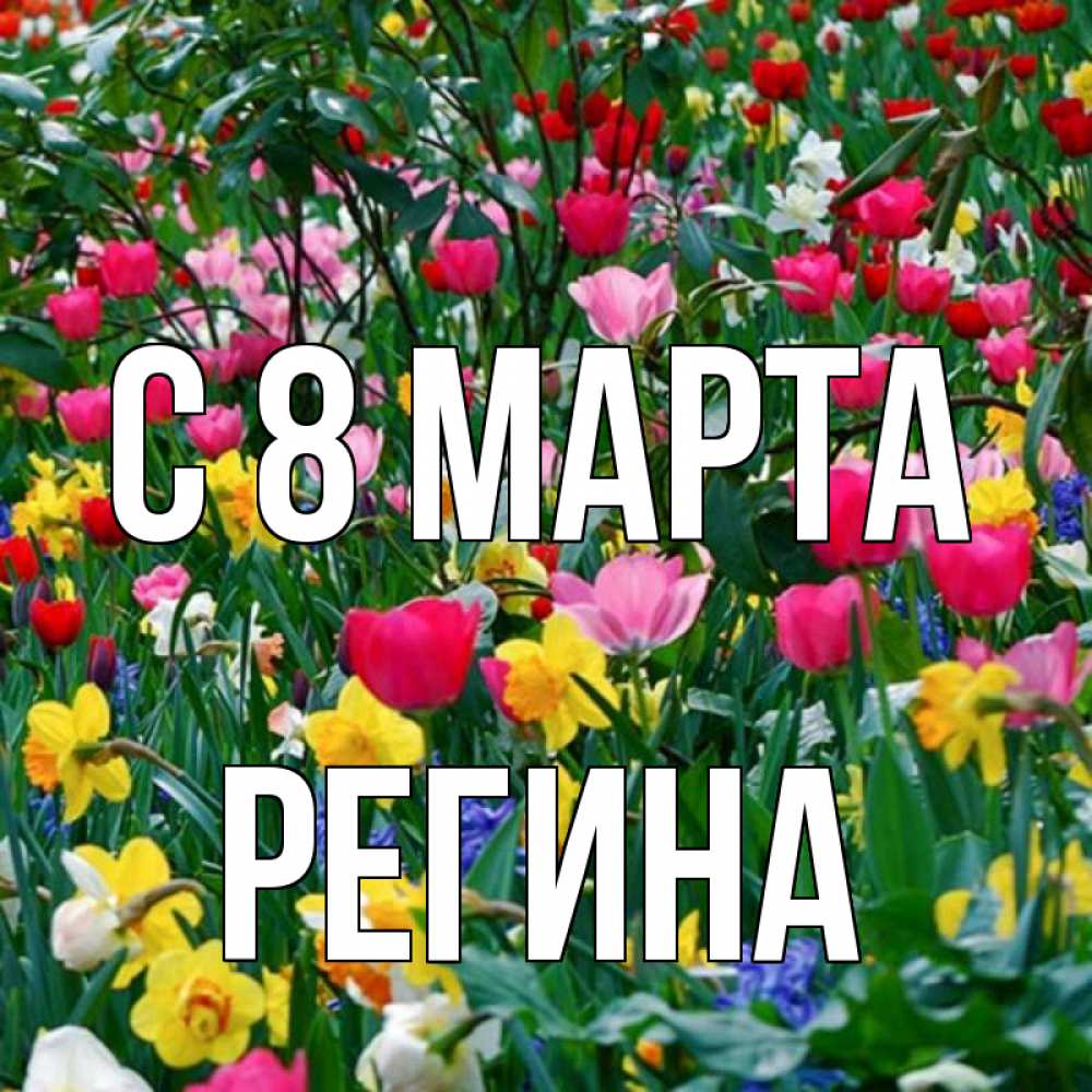 Открытка на каждый день с именем, Регина С 8 марта с международным женским днем поздравления для женщины Прикольная открытка с пожеланием онлайн скачать бесплатно 