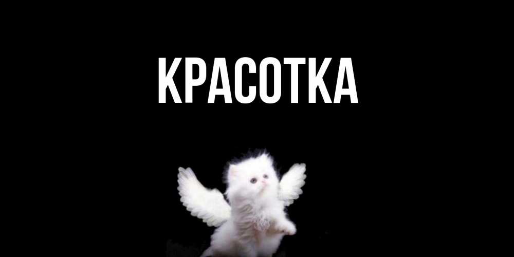 Открытка на каждый день с именем, красотка Главная Кот ангел Прикольная открытка с пожеланием онлайн скачать бесплатно 