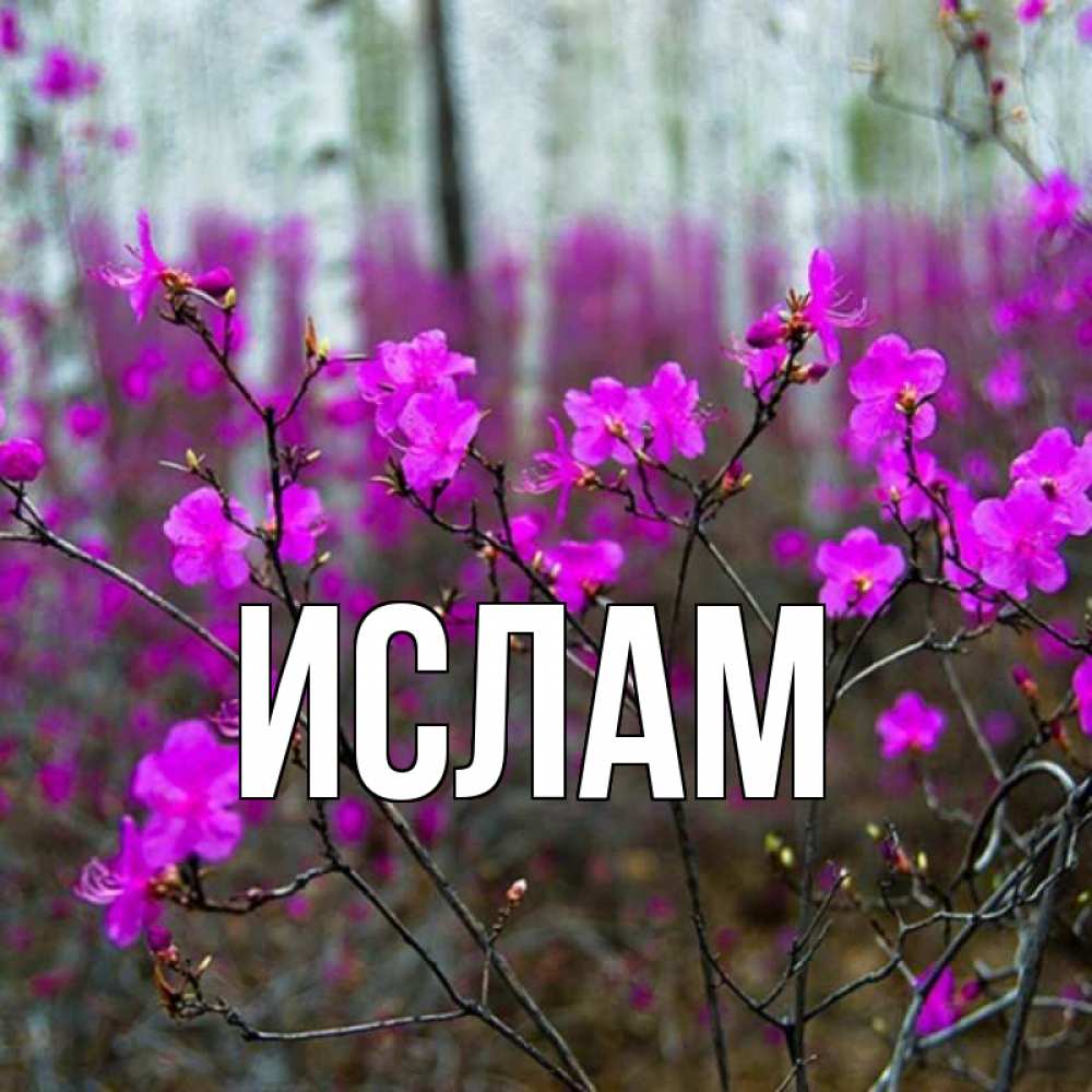 Главная Наташа Фото