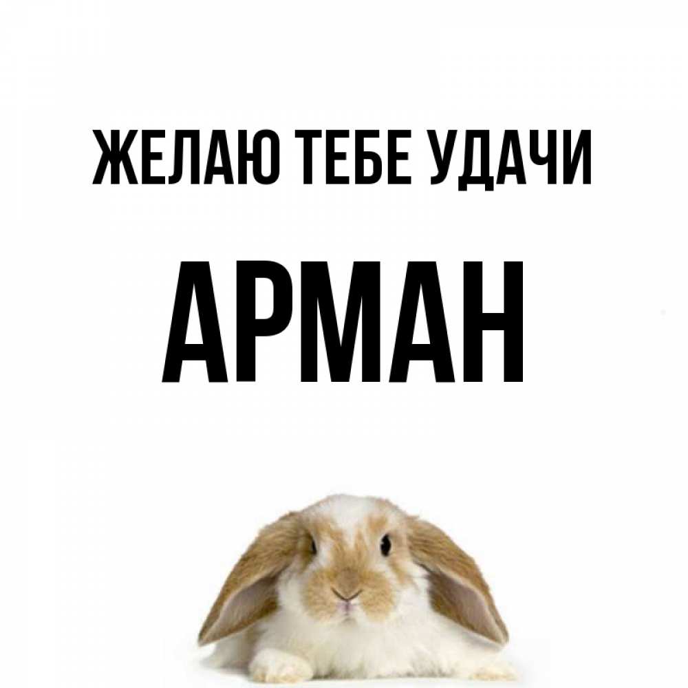 Открытка на каждый день с именем, Арман Желаю тебе удачи открытки с произвольным текстом который можно вставить в открытку и создать ее самостоятельно бесплатно онлайн Прикольная открытка с пожеланием онлайн скачать бесплатно 