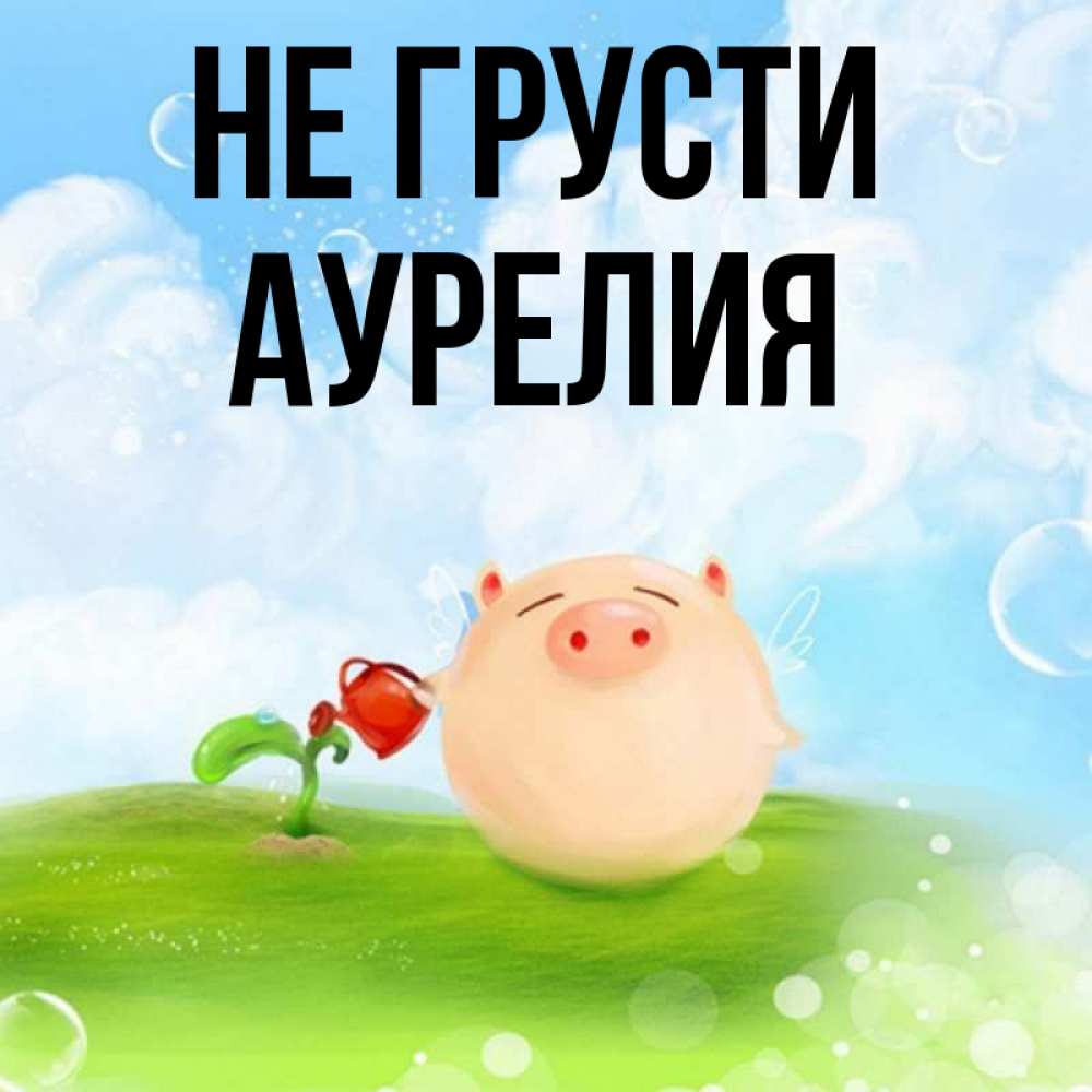 Открытка на каждый день с именем, Аурелия Не грусти поливает цветок порося Прикольная открытка с пожеланием онлайн скачать бесплатно 