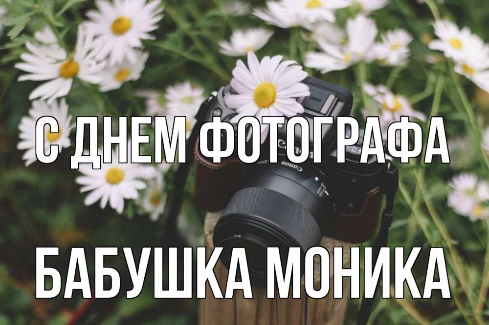 Открытка на каждый день с именем, Бабушка-Моника С днем фотографа с днем фотографа Прикольная открытка с пожеланием онлайн скачать бесплатно 