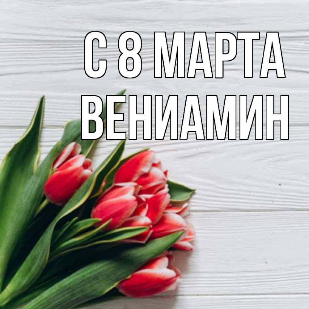 Открытка на каждый день с именем, Вениамин С 8 МАРТА весна 2 Прикольная открытка с пожеланием онлайн скачать бесплатно 
