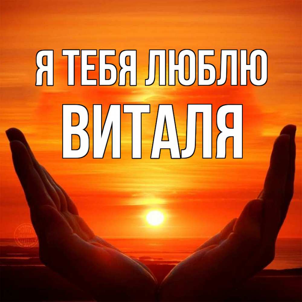 Открытка на каждый день с именем, Виталя Я тебя люблю в руках Прикольная открытка с пожеланием онлайн скачать бесплатно 