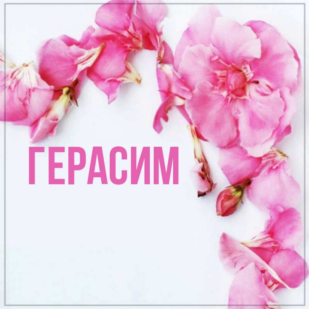 Открытка на каждый день с именем, Герасим Главная Красивая открытка для поздравления с днем рождения Прикольная открытка с пожеланием онлайн скачать бесплатно 