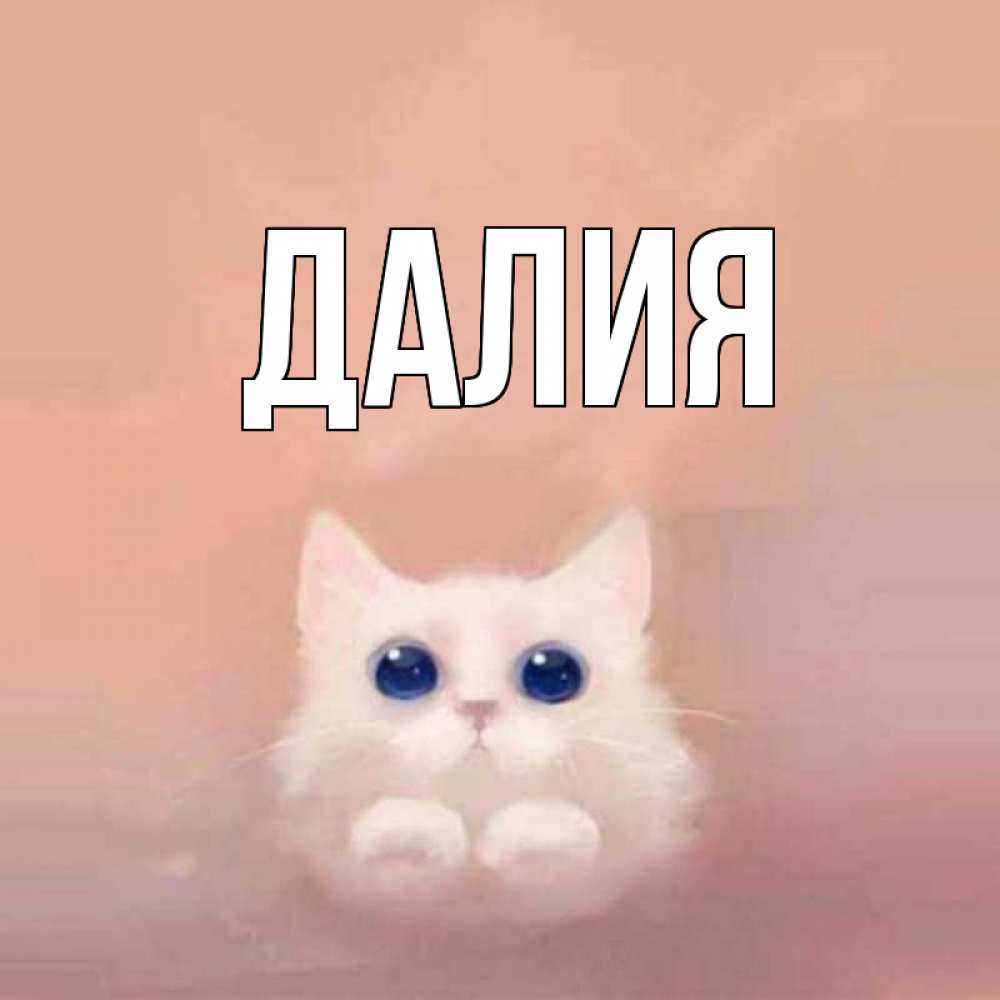 Открытка на каждый день с именем, Далия Главная котик белый в полете Прикольная открытка с пожеланием онлайн скачать бесплатно 