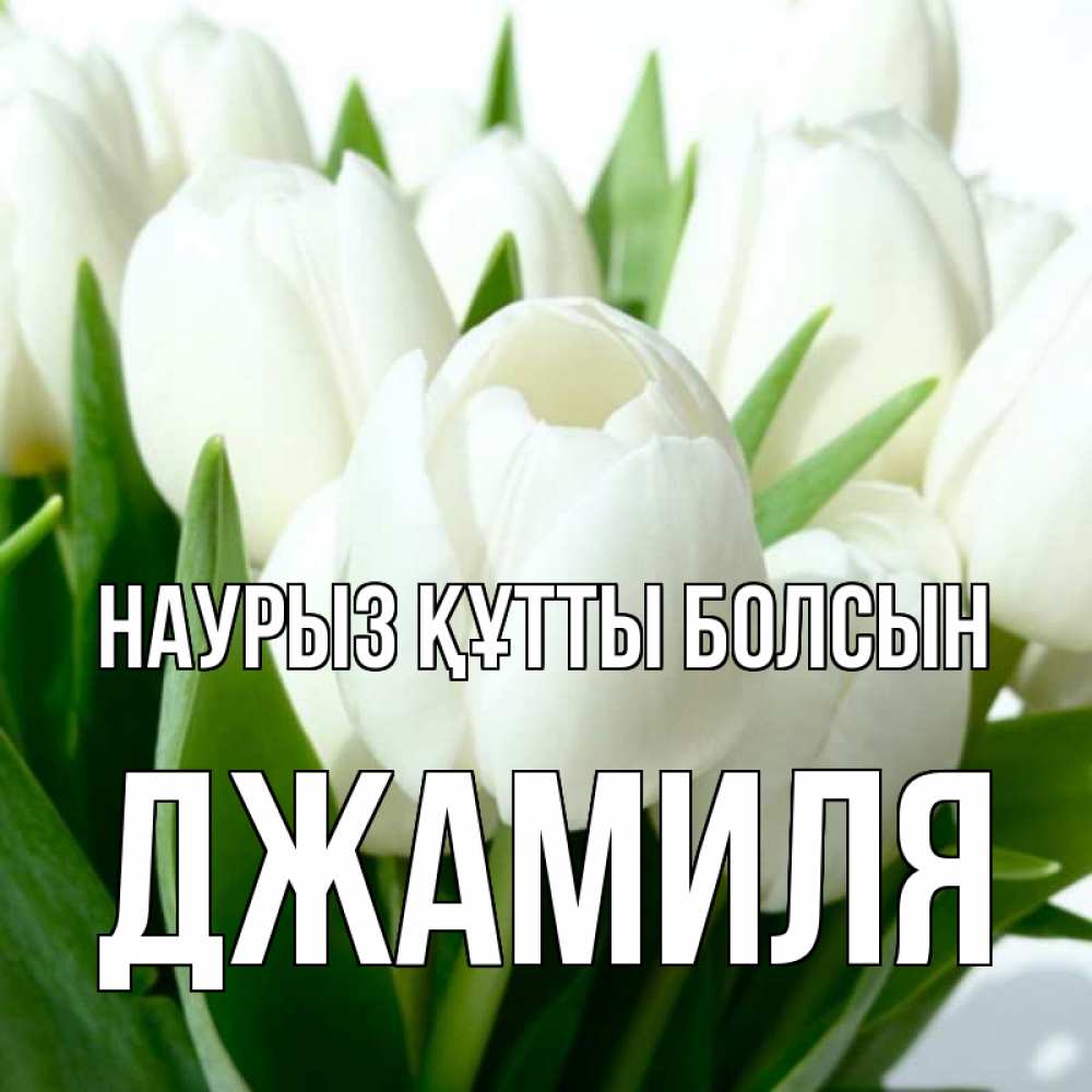 Открытка на каждый день с именем, Джамиля Наурыз құтты болсын цветы Прикольная открытка с пожеланием онлайн скачать бесплатно 