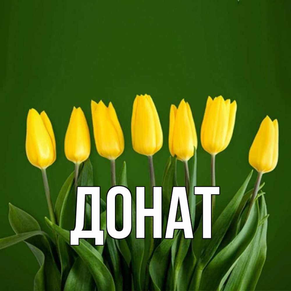 Открытка на каждый день с именем, Донат Главная желтого цвета 3 Прикольная открытка с пожеланием онлайн скачать бесплатно 