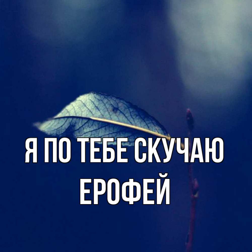 Открытка на каждый день с именем, Ерофей Я по тебе скучаю одна ветка 1 Прикольная открытка с пожеланием онлайн скачать бесплатно 