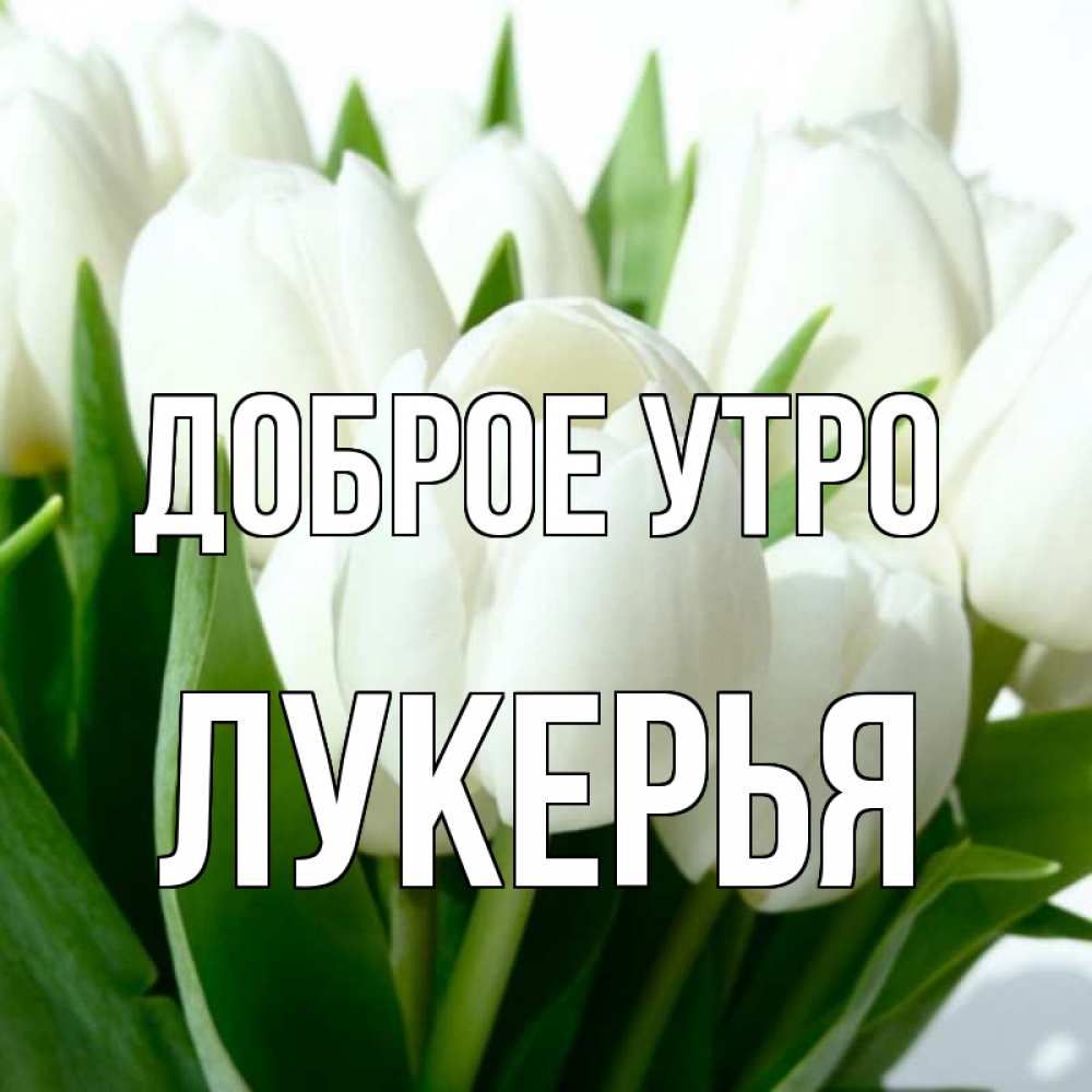 Открытка на каждый день с именем, Лукерья Доброе утро открытки на каждый день по именам Прикольная открытка с пожеланием онлайн скачать бесплатно 