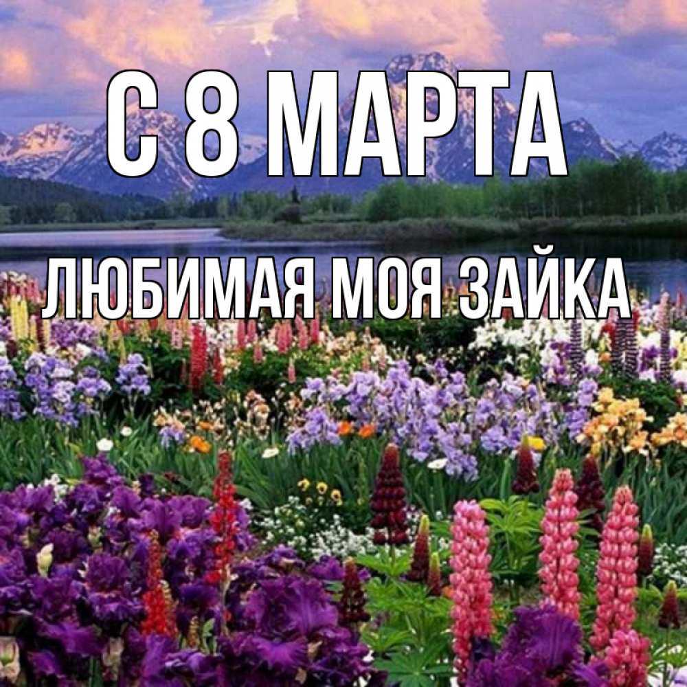Открытка на каждый день с именем, Любимая-моя-зайка С 8 марта международный женский день Прикольная открытка с пожеланием онлайн скачать бесплатно 