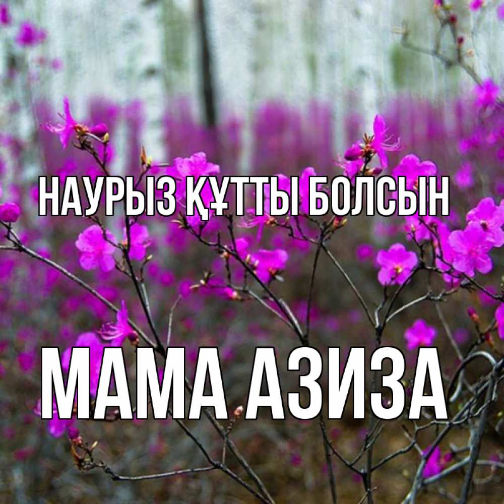 Открытка на каждый день с именем, Мама-Азиза Наурыз құтты болсын дикие цветы Прикольная открытка с пожеланием онлайн скачать бесплатно 