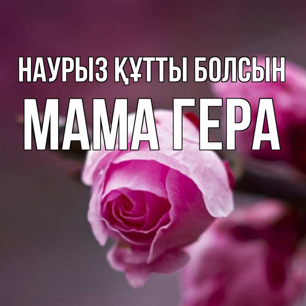 Открытка на каждый день с именем, Мама-Гера Наурыз құтты болсын весна Прикольная открытка с пожеланием онлайн скачать бесплатно 