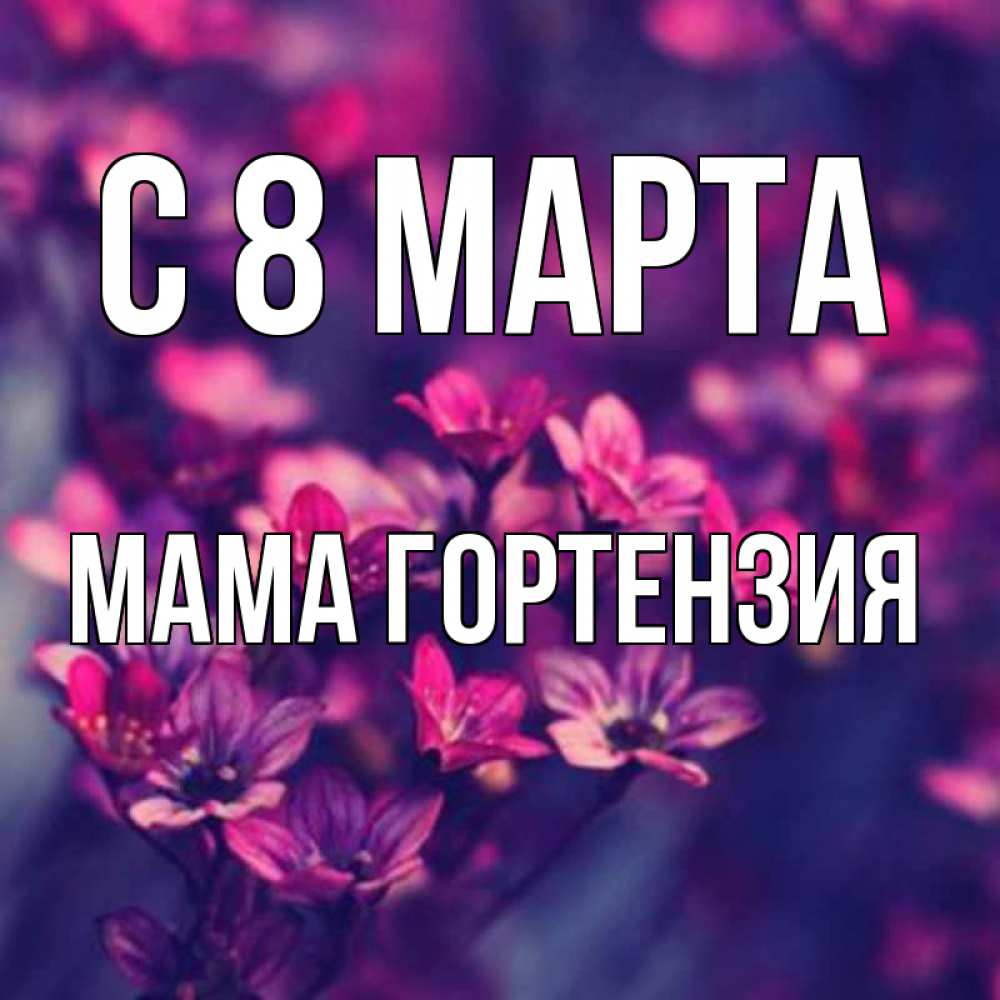 Открытка на каждый день с именем, Мама-Гортензия С 8 марта небольшие цветы 1 Прикольная открытка с пожеланием онлайн скачать бесплатно 