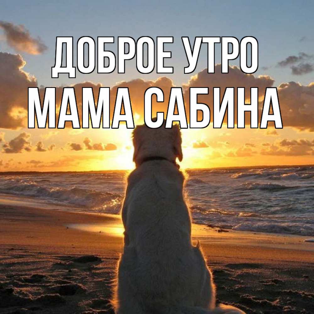 Открытка на каждый день с именем, Мама-Сабина Доброе утро восход солнца Прикольная открытка с пожеланием онлайн скачать бесплатно 