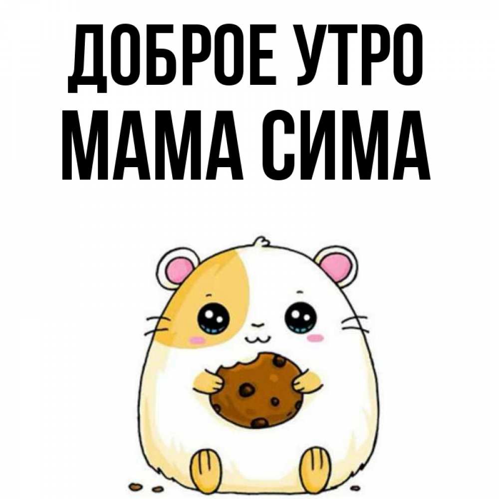 Открытка на каждый день с именем, Мама-Сима Доброе утро есть печеньку. Утречко Прикольная открытка с пожеланием онлайн скачать бесплатно 