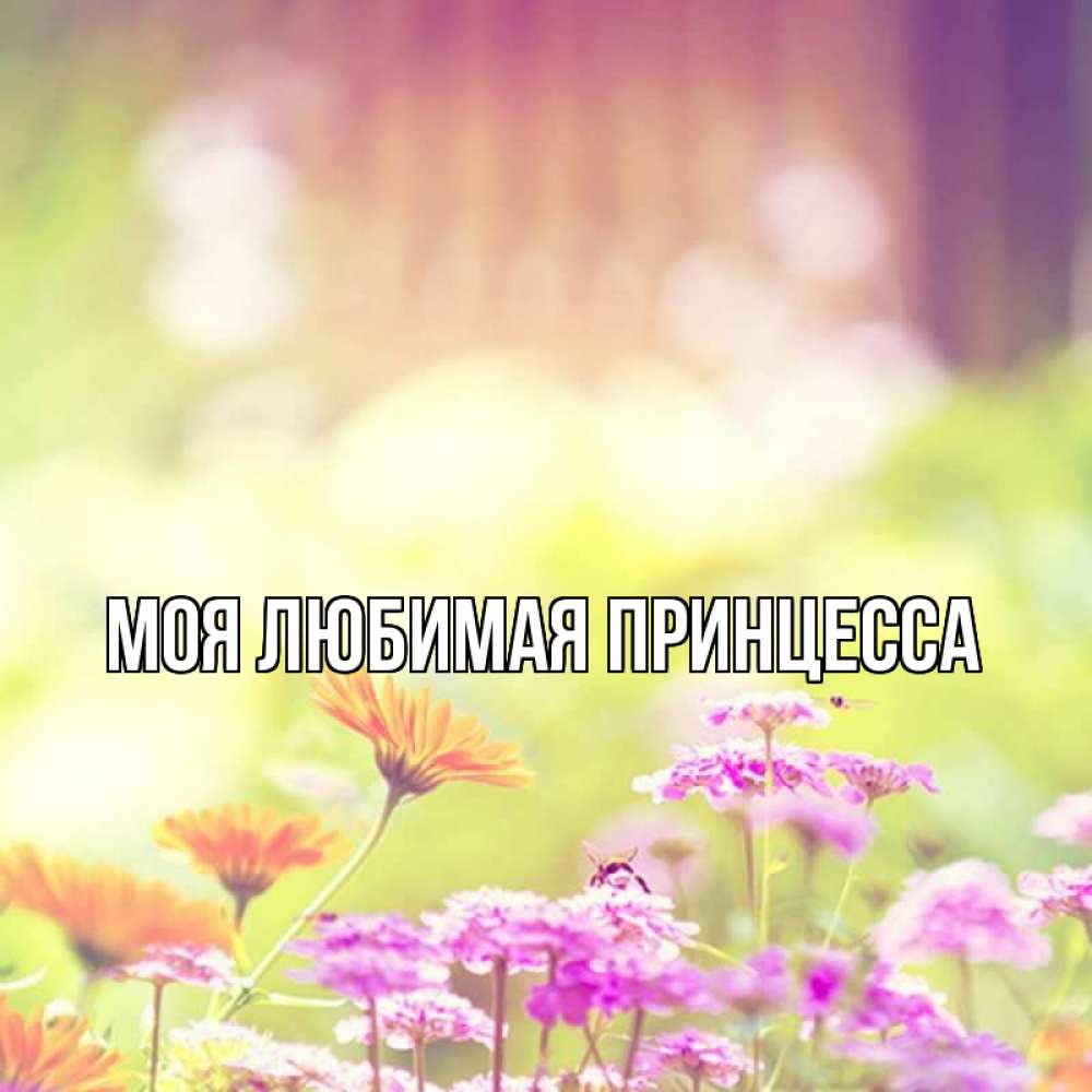 Открытка на каждый день с именем, Моя-Любимая-Принцесса Главная цветы весна Прикольная открытка с пожеланием онлайн скачать бесплатно 