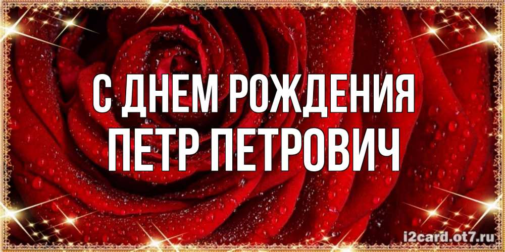 Открытка на каждый день с именем, Петр-Петрович С днем рождения роса на розе блестящая в лучах солнца Прикольная открытка с пожеланием онлайн скачать бесплатно 
