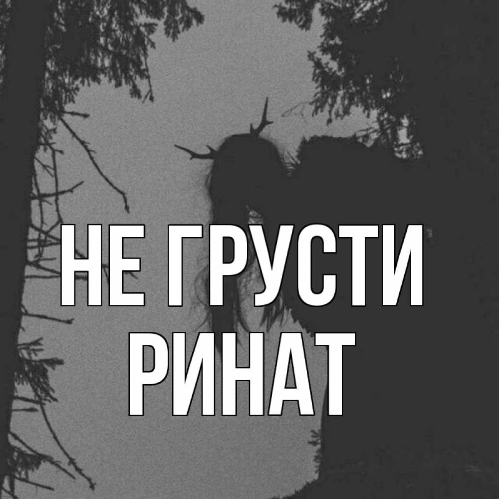 Открытка на каждый день с именем, Ринат Не грусти чудище лесное Прикольная открытка с пожеланием онлайн скачать бесплатно 